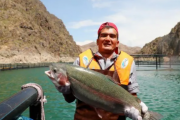 新疆三文鱼大丰收，陆海养殖让内陆也有新鲜三文鱼